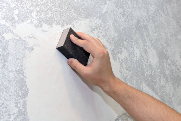 Best Mold Damage Restoration  in Westerville, OH