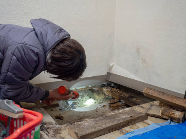Environmental Consulting for Mold Prevention in Westerville, OH