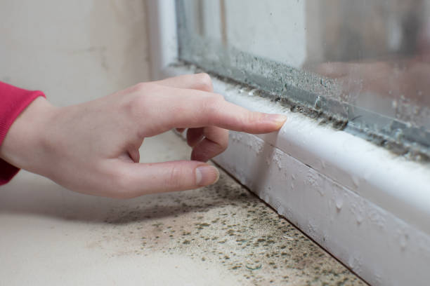 Best Commercial Mold Inspection  in Westerville, OH