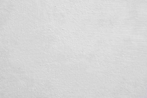 Best Black Mold Removal  in Westerville, OH