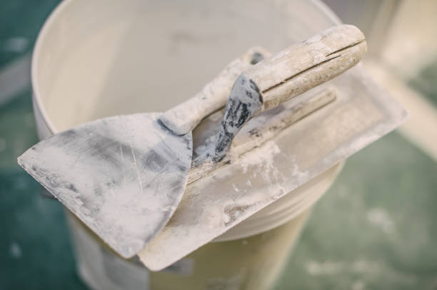 Best Environmental Consulting for Mold Prevention  in Westerville, OH